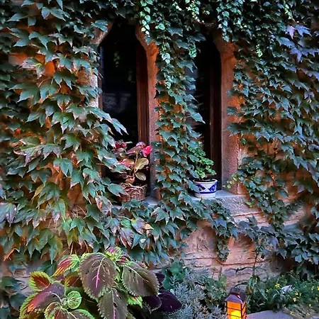 Ordesa Infinita Asín de Broto