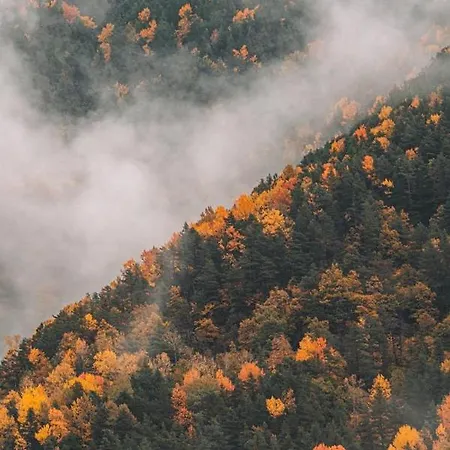 Apartmán Ordesa Infinita *