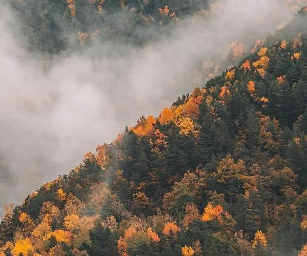 Διαμέρισμα Ordesa Infinita *